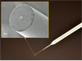 Electrochemical Single-core Microelectrodes