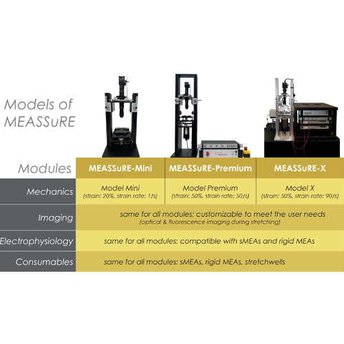 MEASSuRE system