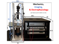 MEASSuRE system