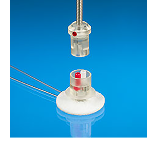Dual Channel Vascular Access Button for Rats