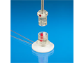 Dual Channel Vascular Access Button for Rats
