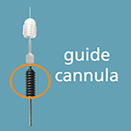 Guide Cannula