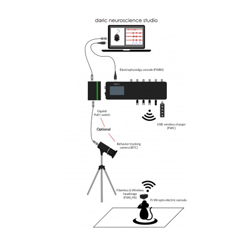 Fiberless & Wireless (Fi-Wi) OSE System
