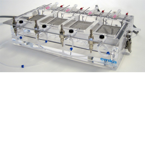 Perfusion system