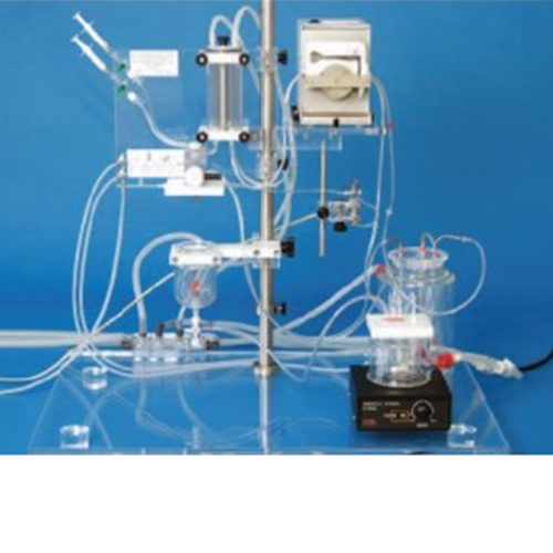 Perfusion System for Cardiomyocyte Isolation (PSCI)